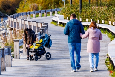 Обзор действующих мер региональной поддержки колымчанок Источник