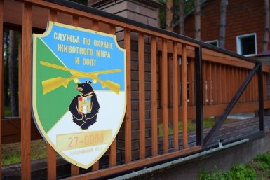 6002790.jpeg?a47d7fcaf1b48574eb5c25434a36dedb