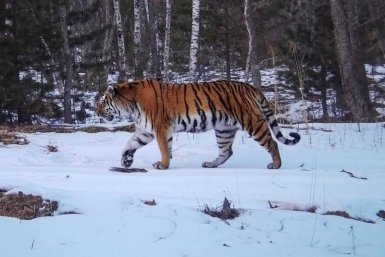 6002792.jpg?3d10cbbf8e9febe0ba1ca954ddcd374d