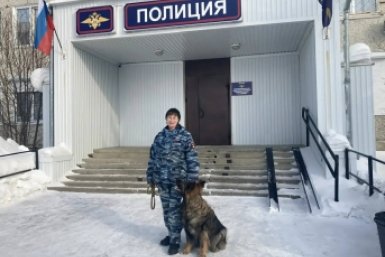 6003133.jpg?b241fd5751d91523493c1006431772b9