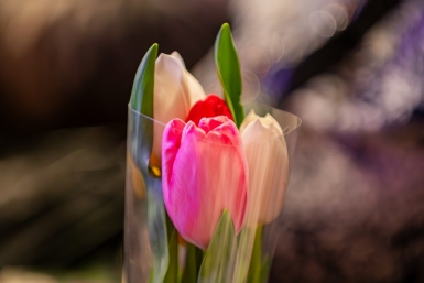 Лариса Поликанова: Вы – источник света, красоты и добра Источник