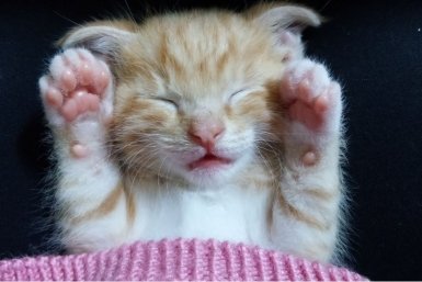 Тематическое фото pxhere.com