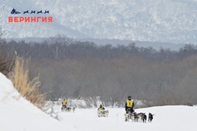 Новость дня