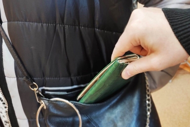 Кража, преступление, кошелек ИА ЕАОMedia