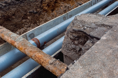 6006375.jpg?11eb131aa668754f96c58401294897b1