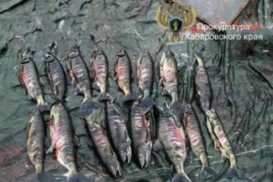 6006536.jpg?96d646cc33c2f813d143b7e1c46126c3