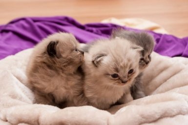 Начинаем рабочий день с полезной утренней подборки — гороскопа и погоды на 13 марта