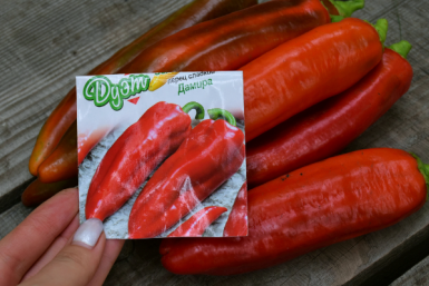 Этот сорт перца выдает щедрый урожай за 110 дней — до 8 кг с куста: отлично в салат, на закрутки, в заморозку