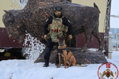 Новость дня