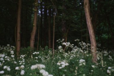 Тематическое фото unsplash.com