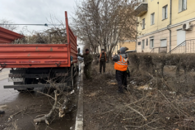 Как бригада справилась с последствиями ДТП почти мгновенно МБУ &quotГородское лесничество&quot
