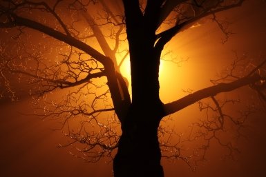 Гороскоп на 13 марта от MagadanMedia: Перемены в жизни и непередаваемое счастье - прогноз