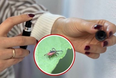 3 пшика на одежду - идем в густой весенний лес: клещи отползают на 3 метра