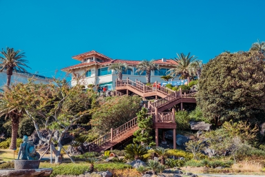 туризм, заграница, отпуск, пальмы Мария Смитюк, ИА PrimaMedia