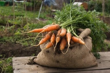 Изображение GigaChat (18+)