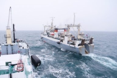 Фото Правительство Камчатского края