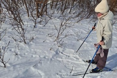 Юннаты изучают следы животных пресс-служба Кроноцкого заповедника