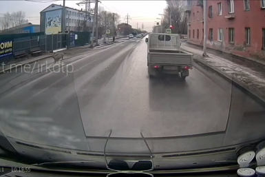 Олень выбежал на дорогу на улице Мира в Иркутске