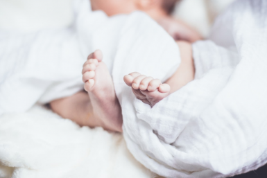 Тематическое фото Сайт pxhere.com