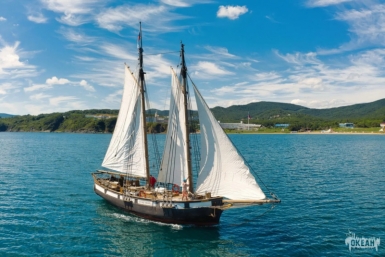 Сергей Кравцов: вырос охват детей участников СВО отдыхом и оздоровлением Источник