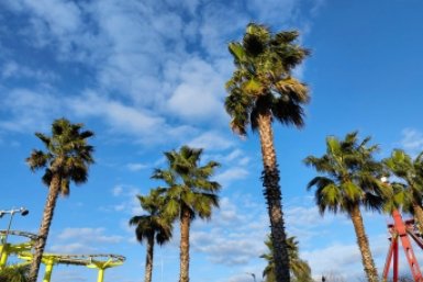 Аномальное тепло задержится в Краснодарском крае на два дня