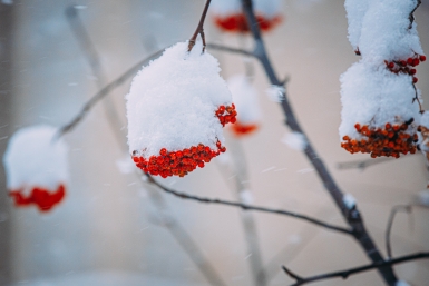 Гороскоп на 15 марта: Эмоциональный фон сохранится устойчивым