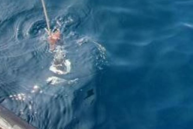 Возместить более 114,7 млн рублей вреда морю в районе Ялты постановил суд