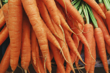 Скупаю только их: 3 идеальных сорта моркови для хранения — сладкие, сочные и урожайные