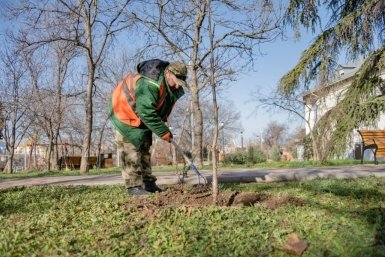 Весенний уход за растениями начали в сквере Корабела Бутомы начали в Севастополе