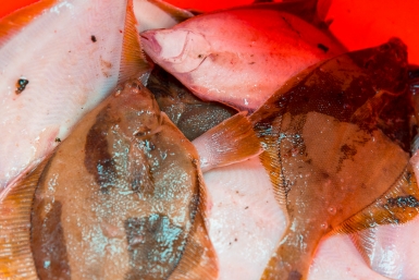 Тематическое фото Илья Аверьянов, ИА PrimaMedia