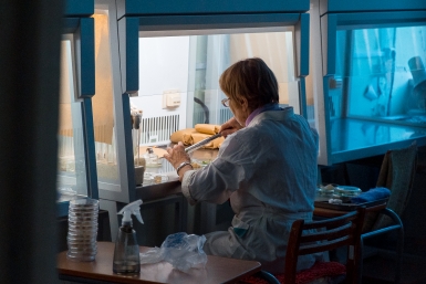 Тематическое фото Илья Аверьянов, ИА PrimaMedia