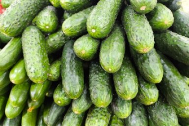 Какие растения сделают огурцы слаще и здоровее: что посадить у корней, чтобы они плодоносили как бешеные до осени