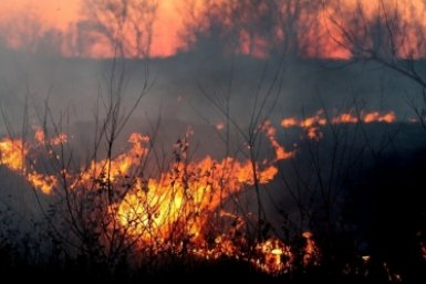 Тематическое фото pxhere.com