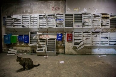 Грязь в подъезде, лёд на батареях: пошаговая инструкция по возврату денег от ЖКХ