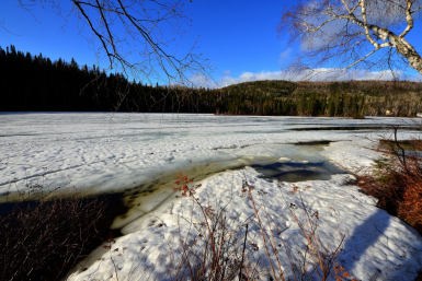 Тематическое фото Сайт pxhere.com