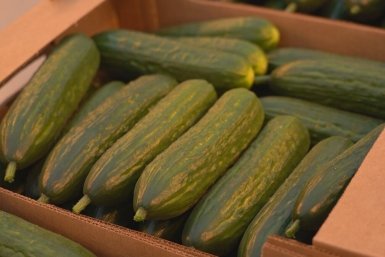 6013927.jpg?c51d6bd8d687e97eb0c12afaf315c8b4