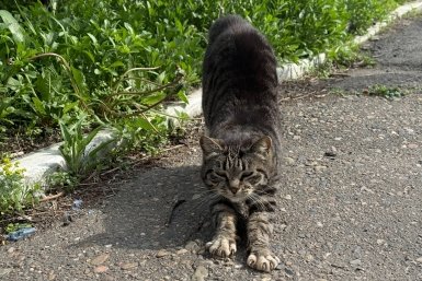 Теплая солнечная суббота ожидается в Москве