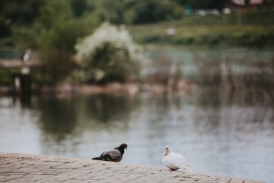 Новость дня