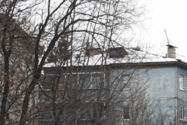 Новость дня