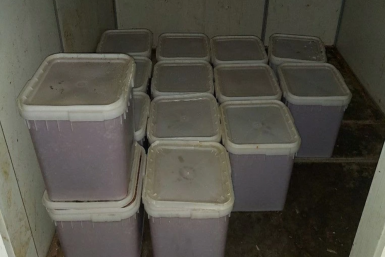 Новость дня