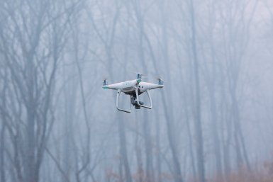 Новость дня