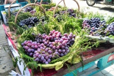 На Кубани фермеры массово просят перевести земли под агротуризм