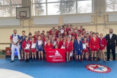 Первенство по самбо состоялось в Иркутске в рамках партпроекта &quotВыбор сильных&quot Пресс-служба ИРО ЕР