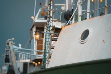 Уголовное дело возбудили после столкновения теплоходов в Таганрогском заливе