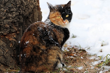 Тепло и солнце: рекорд тепла вновь побит в Москве 13 марта