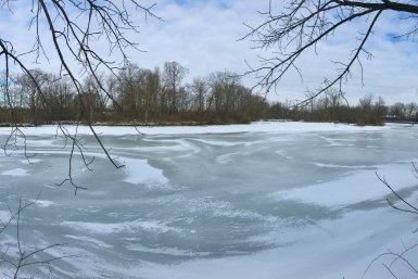 Родители до последнего надеялись на спасение пропавшего в Звенигороде мальчика