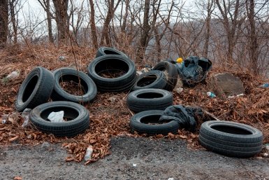Мусор на Татарском городище и свалка у ЖК обеспокоили жителей Ставрополья