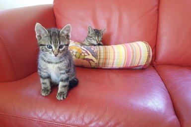 Тематическое фото pxhere.com