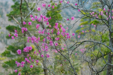 Новость дня