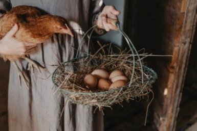 Куры несутся "как сумасшедшие": никаких дорогих кормов — народный метод для 90%-й яйценоскости
